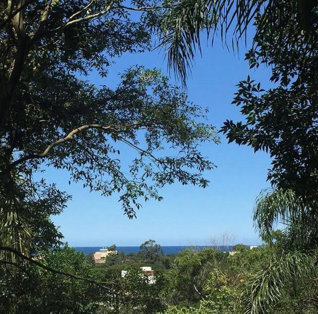 Casa Figueira Na Pedra Hotel Florianópolis Kültér fotó