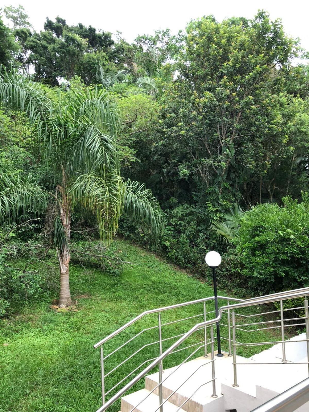 Casa Figueira Na Pedra Hotel Florianópolis Kültér fotó