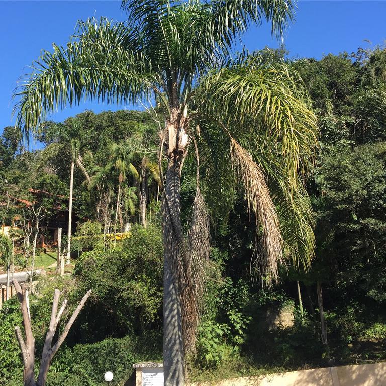 Casa Figueira Na Pedra Hotel Florianópolis Kültér fotó